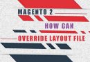 Magento 2 how can override layout file